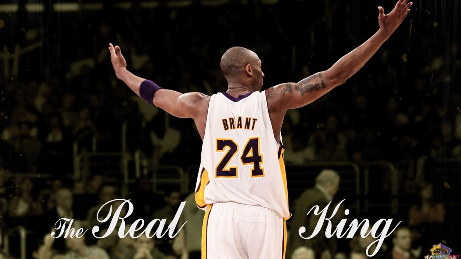 九游体育平台官网-《CS_GO》银河杯，顶级豪门巅峰对抗！